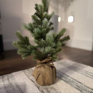 Miniature Burlap Wrapped Holiday Tree